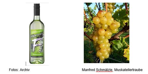Wein der Woche 36