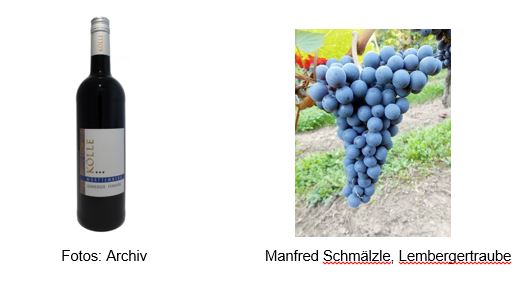 Wein der Woche 38