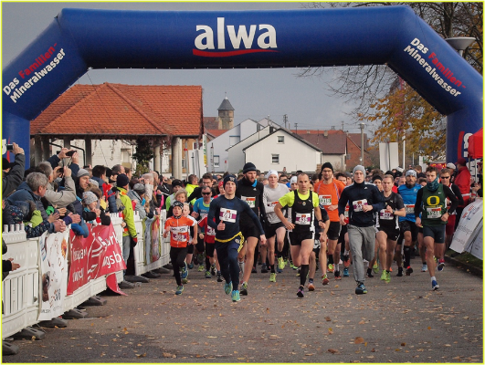 28. Bönnigheimer Stromberglauf