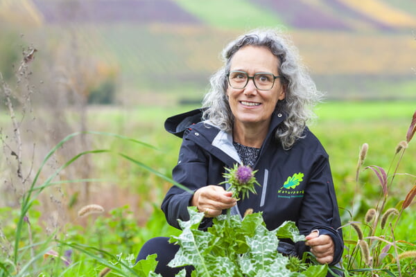 Kräuterspaziergang in und um Hofen