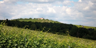 Lemberger-Tour