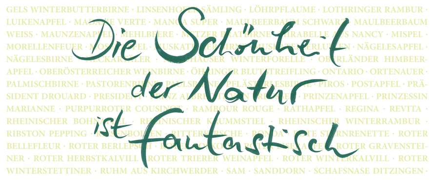 Obstsortengarten