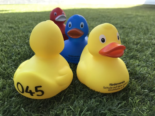 Renn-Enten