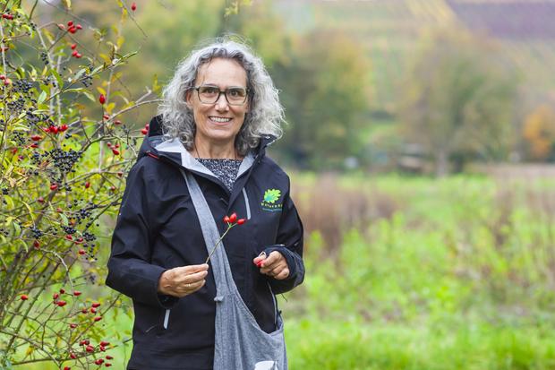 Kräuterspaziergang in und um Hofen