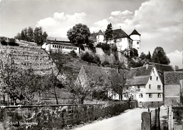 Bild vom Schloss Hohenstein