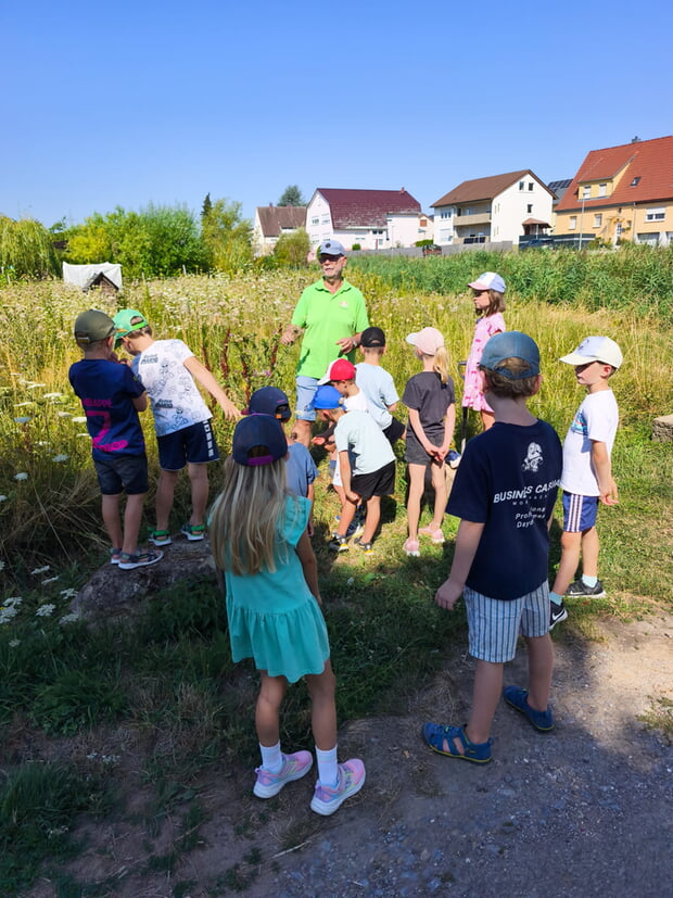 Blumenwiese