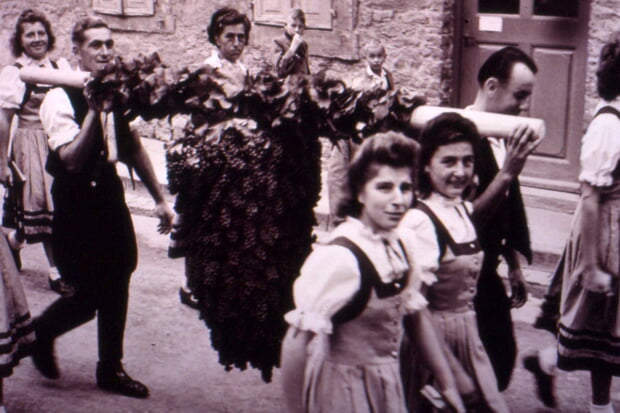 Ein gro&szlig;er Kalebstrauben wir bei einem Weinfest getragen.Sammlung Historische Gesellschaft