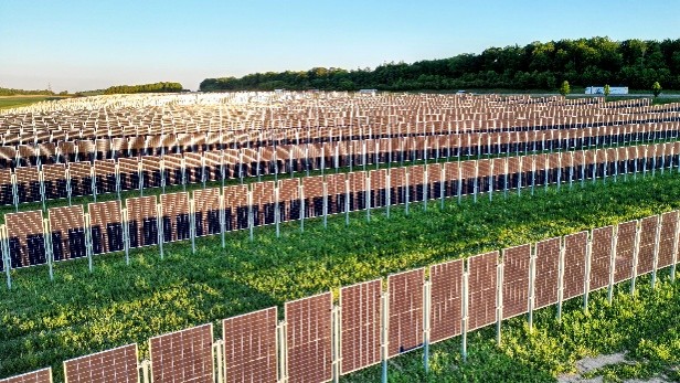 Breit aufgeständerte Agri-PV-Module vereinen die Stromproduktion mit dem maschinellen Getreideanbau