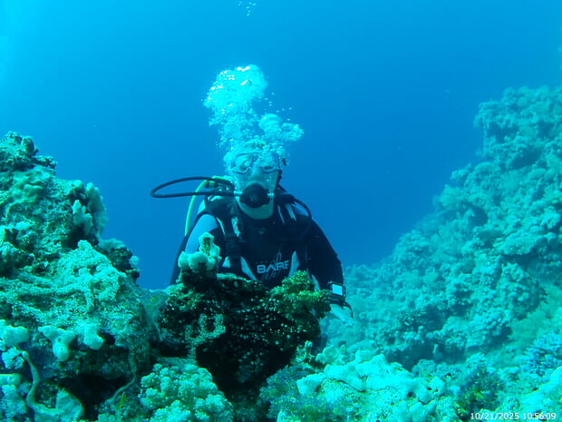 Einer der Taucher in Action