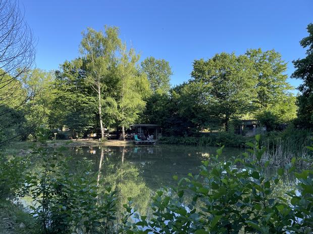 Idyllischer Forellenteich