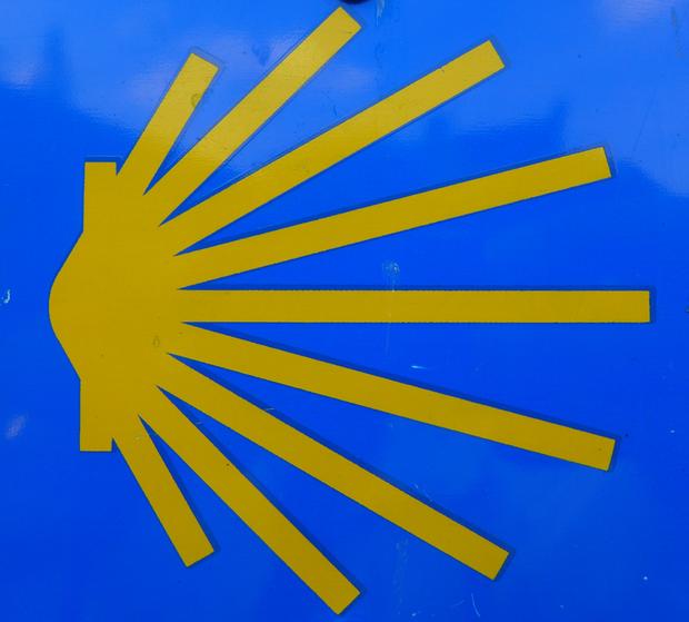 Die Jakobsmuschel weist den Weg