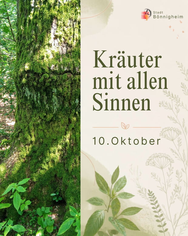 Kräuter mit allen Sinnen